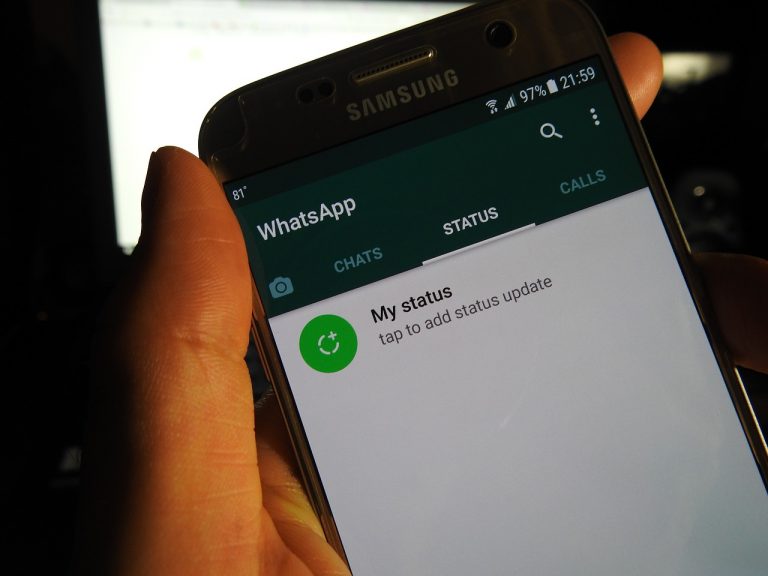 WhatsApp Business novità