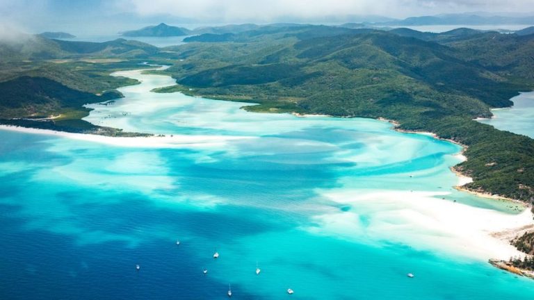 Isole Whitsunday attacco squalo