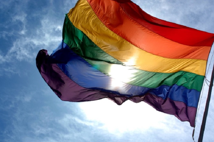 Partito gay