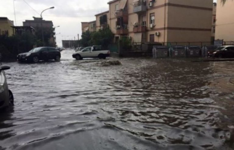 allerta meteo
