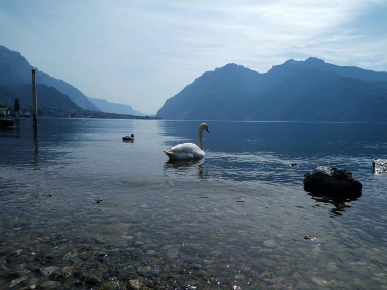 mandello del lario bambino diabeticomandello del lario bambino diabetico