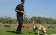 Bufera nel consiglio comunale di Monza: cane poliziotto giudicato fascista