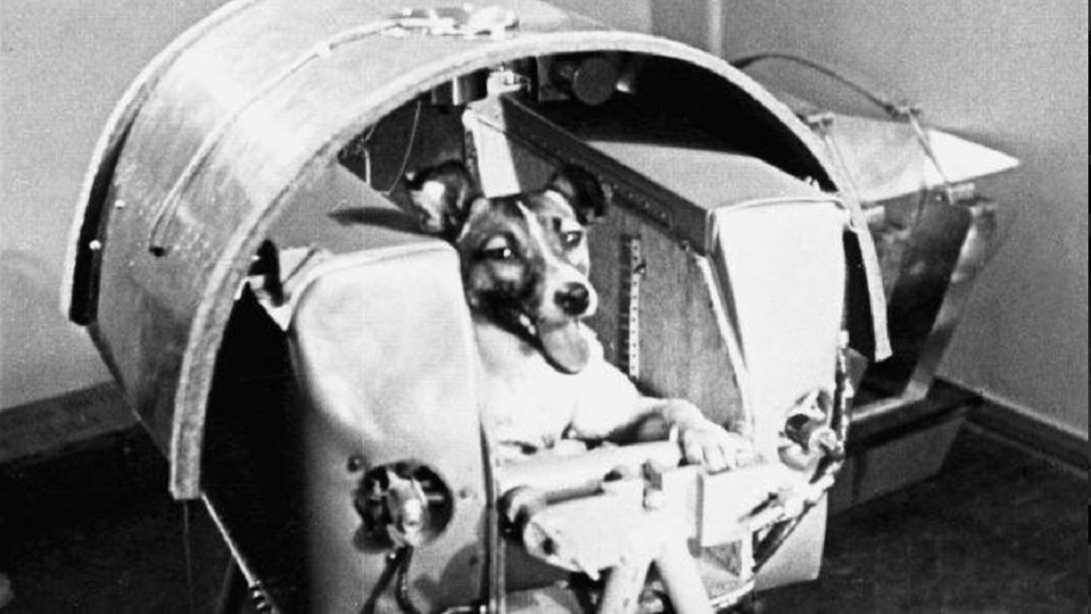 Laika cane-astronauta: la verità sulla morte