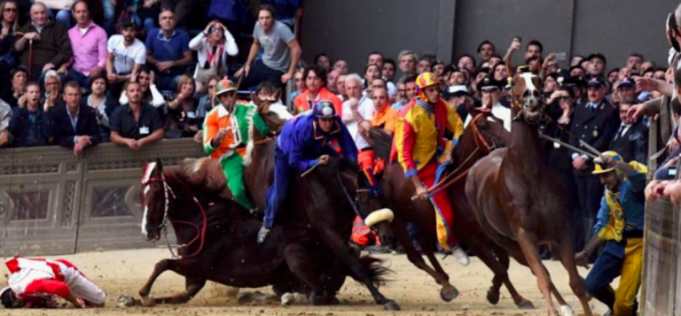Palio di Siena, abbattuto il cavallo Raol