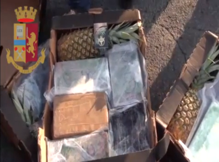 cocaina tra gli ananas