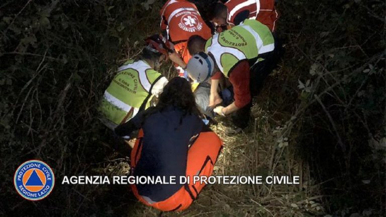 anziano cane dirupo