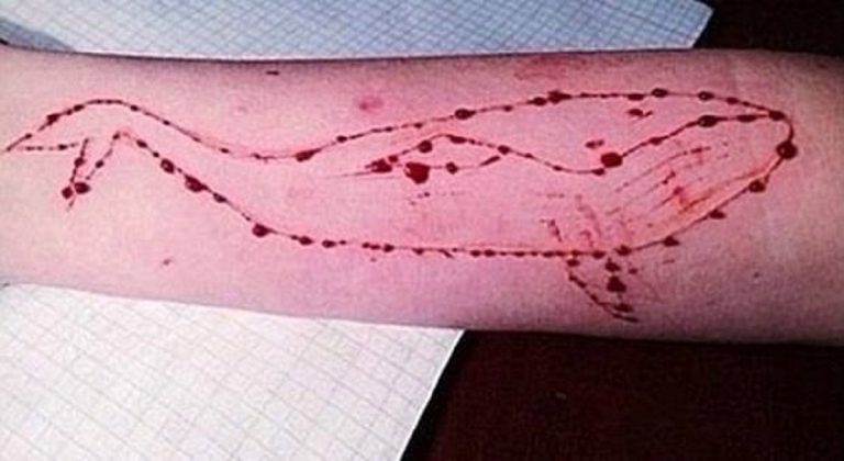 blue whale bari