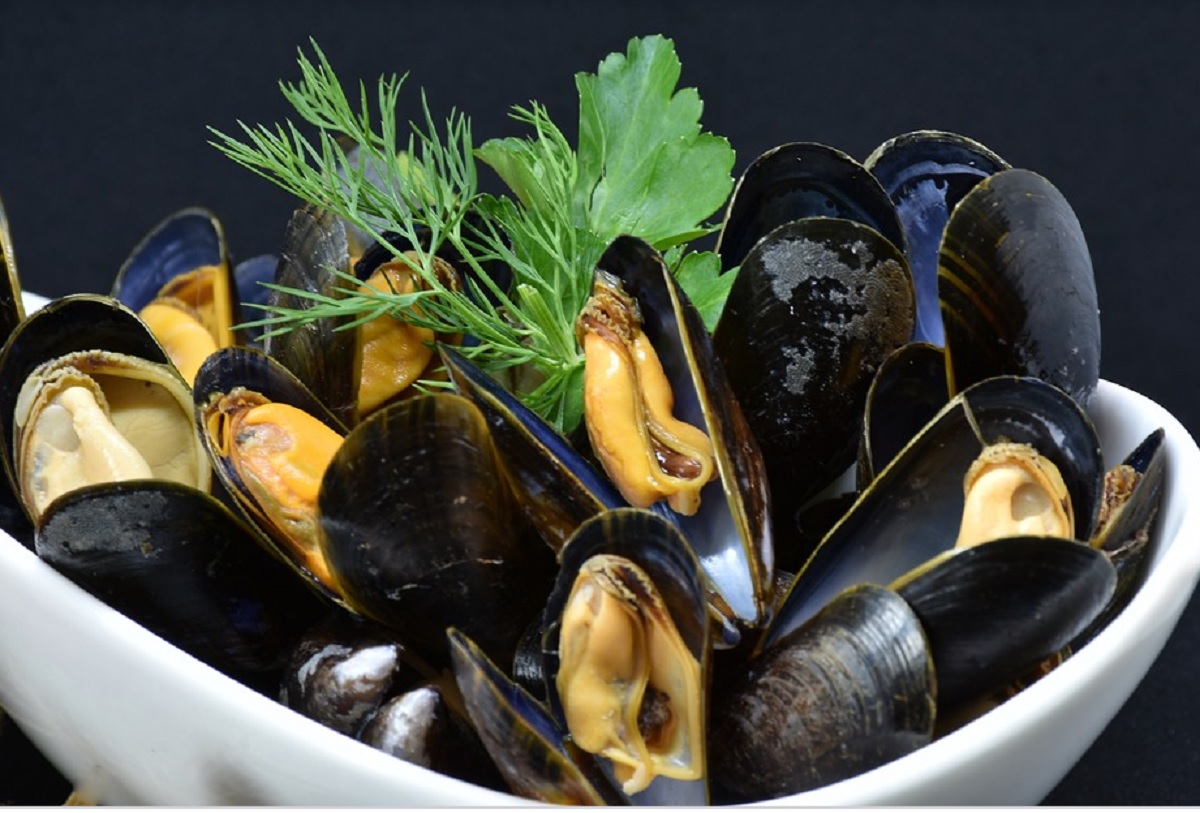 cozze