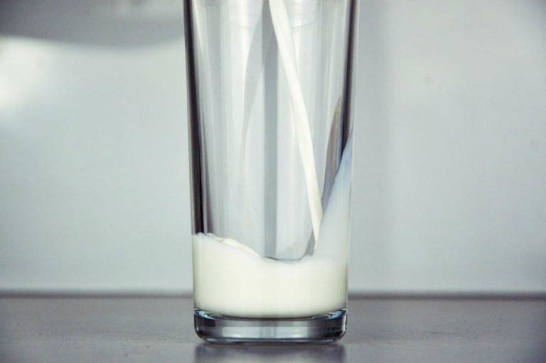 dieta