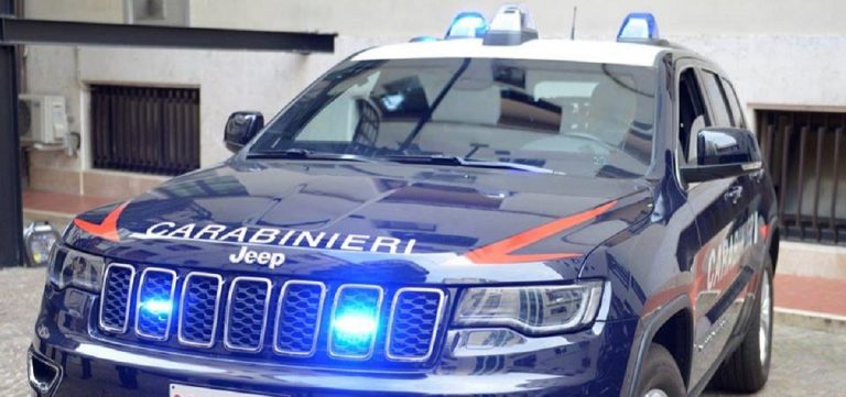 donna 768x361