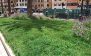 roma senzatetto giardiniere pulisce aiuole gratis