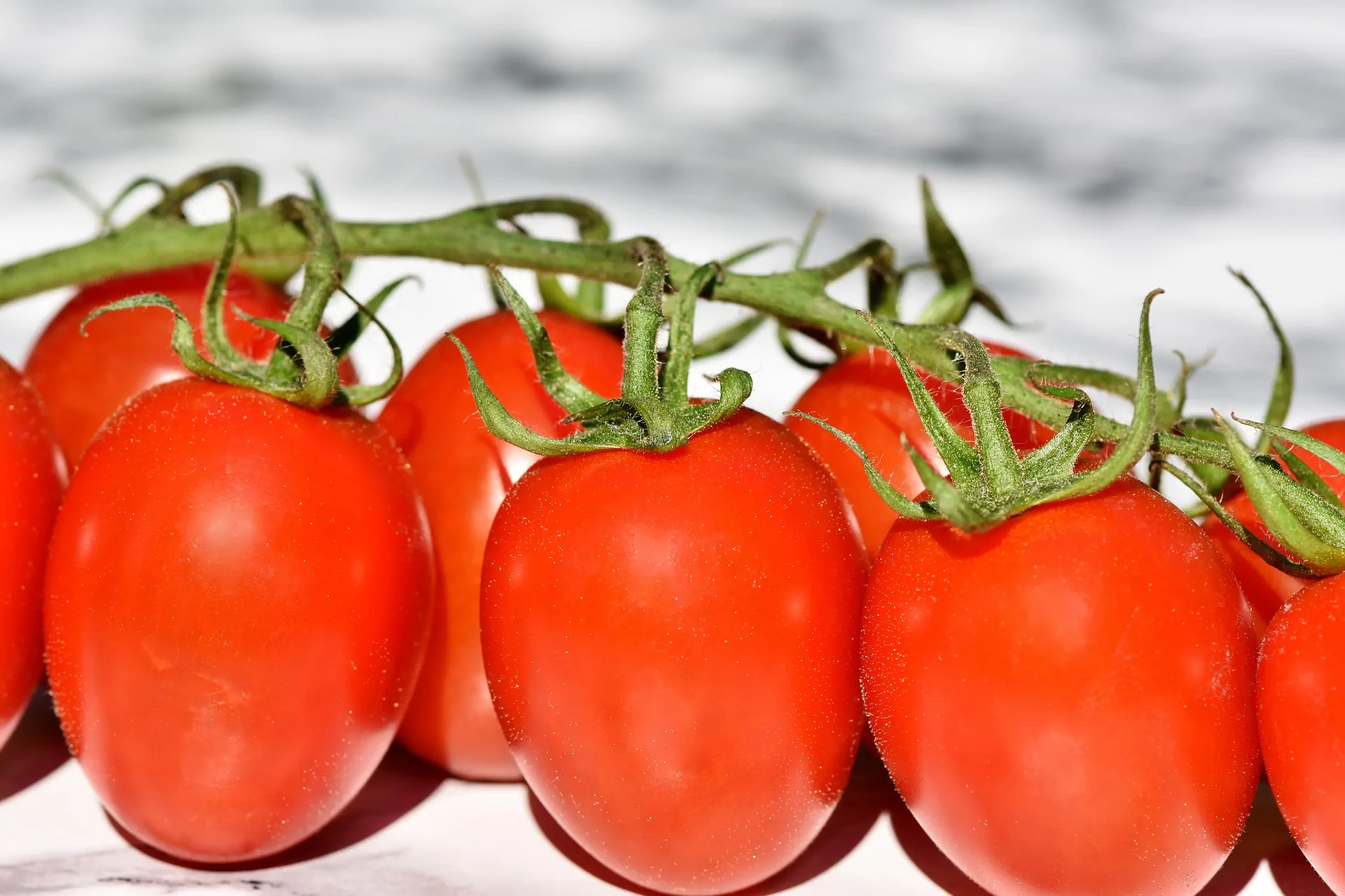 pomodori italiani contaminati