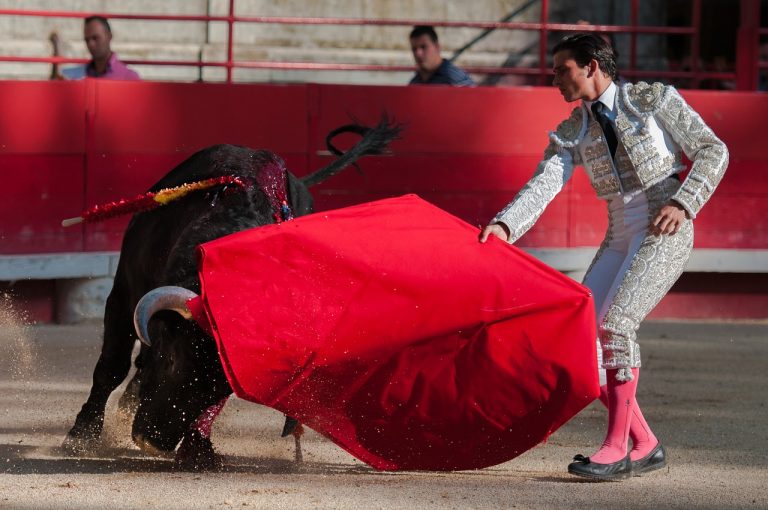 toro zampe spezzate denuncia pacma corrida