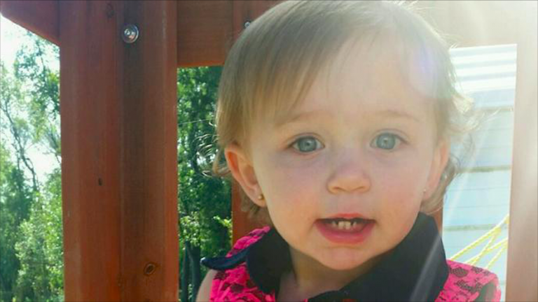 Bambina 1 anno morta aggredita da pitbull