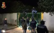 Calabria arresti droga combattimento cani