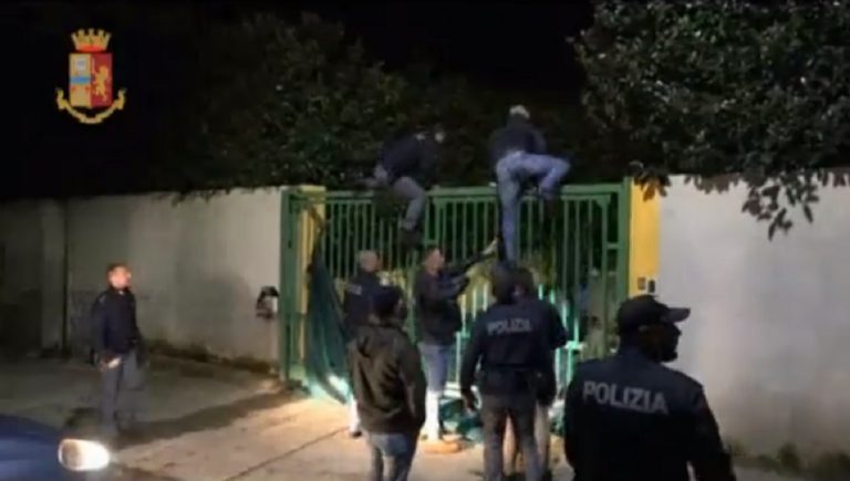 Calabria arresti droga combattimento cani 768x435