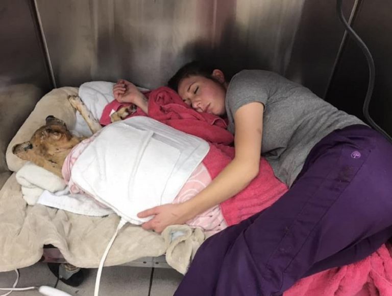 Veterinaria si addormenta vicino al cane che accudisce
