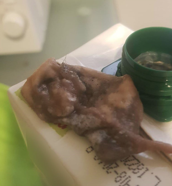 Il topo trovato nel succo