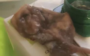 Topo morto nel succo di frutta