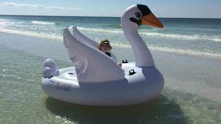 cigno gonfiabile
