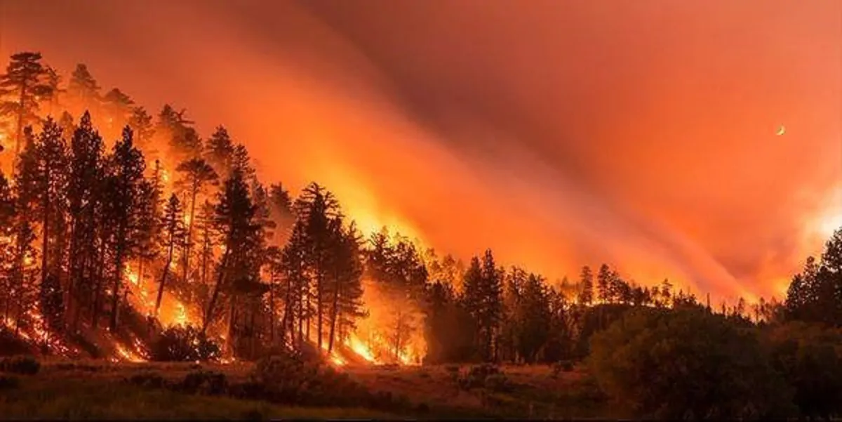 incendio California