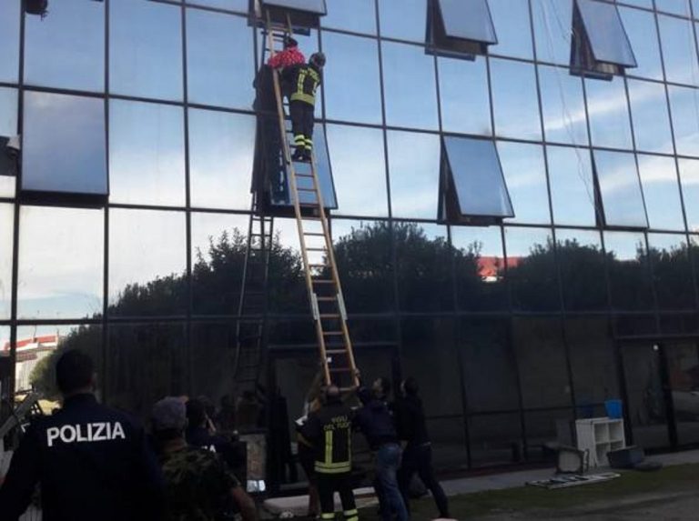 incendio roma hotel occupato
