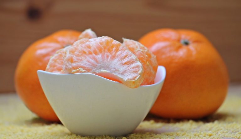 posso prendere insieme la fibra magro e la garcinia cambogia