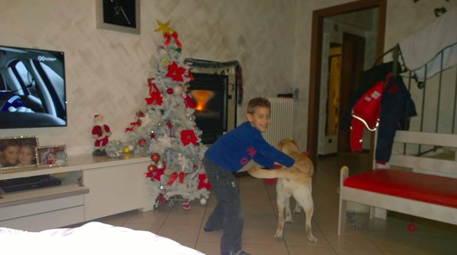 Marco Zani