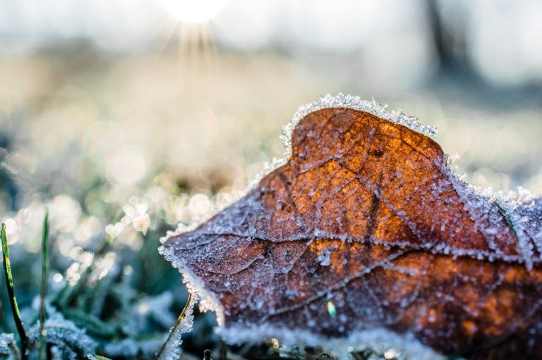 meteo arrivo inverno 768x511