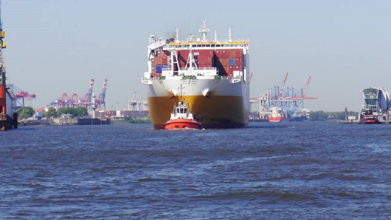 cargo 768x432