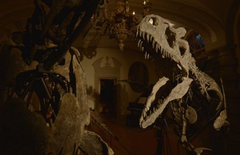 Dinosaurs