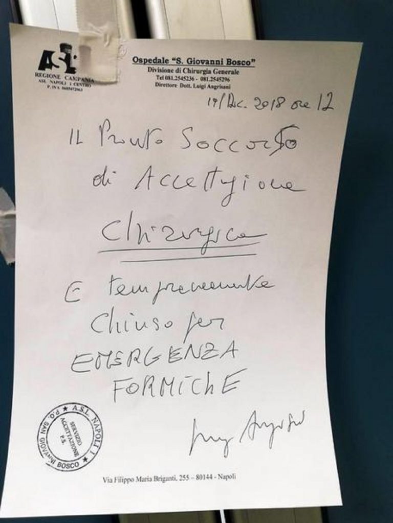 pronto soccorso formiche 768x1023