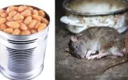 Trovato topo morto in una scatola di fagioli italiani
