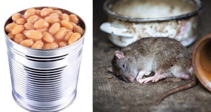 Trovato topo morto in una scatola di fagioli italiani
