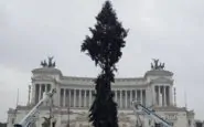 Roma, polemica su Spelacchio, l'albero di Natale