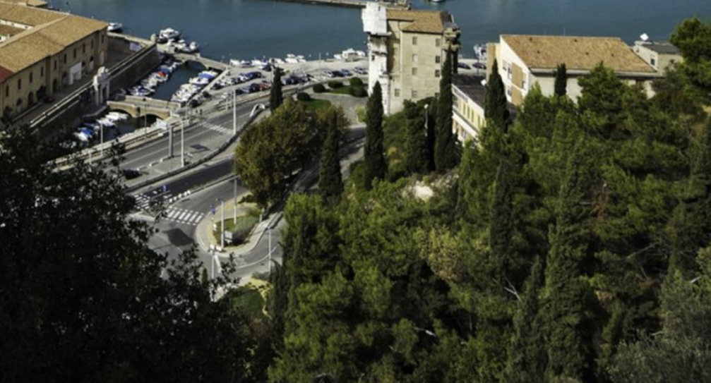 Ancona