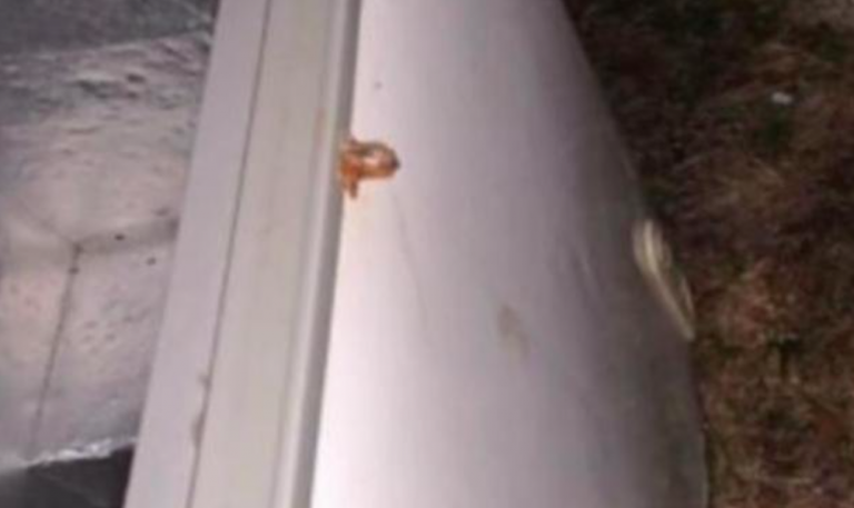 Bambini morti intrappolati nel congelatore