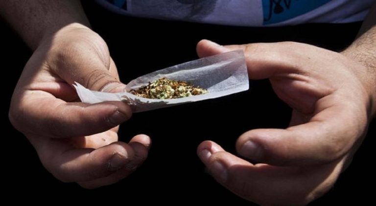 cannabis 1 768x421