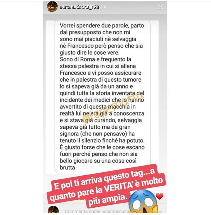 commento chiofalo muccichini