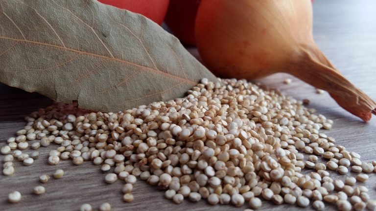 Cibi vegani: cosa mangiare per il benessere e il peso forma