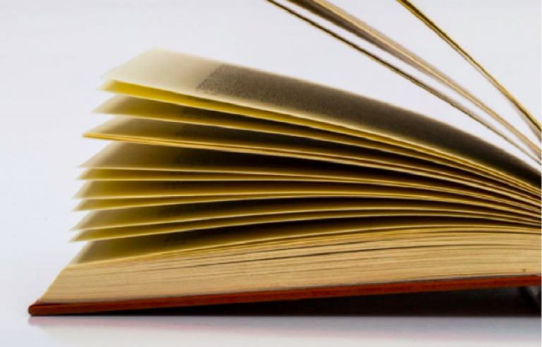 Le nuove parole della lingua italiana