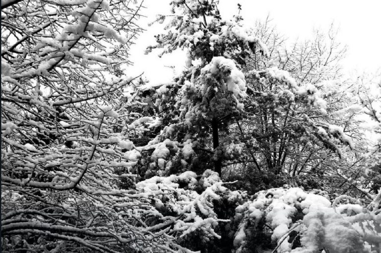 meteo neve