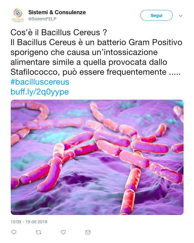 morto sonno spaghetti