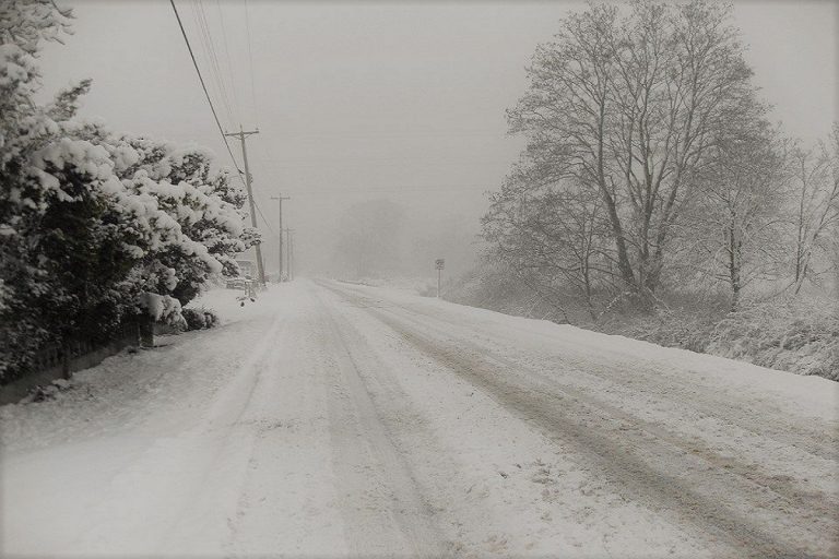 Neve al centro-sud, scuole chiuse