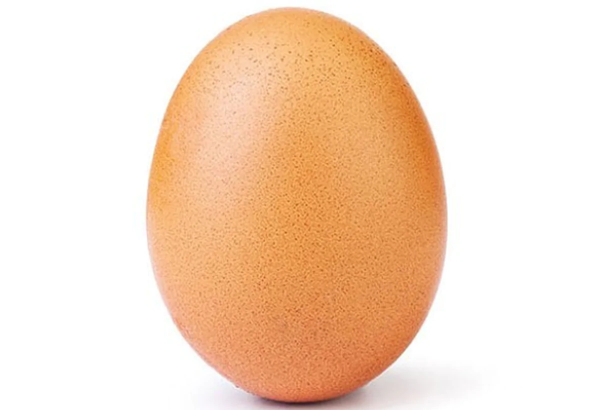 record egg