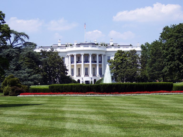 Usa, organizzava attacco alla Casa Bianca