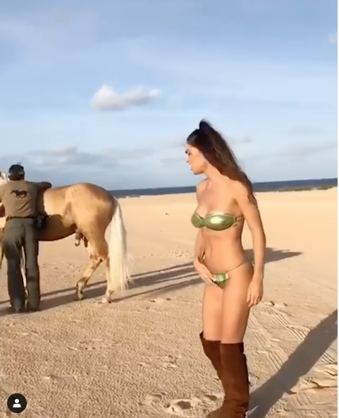 cecilia rodriguez