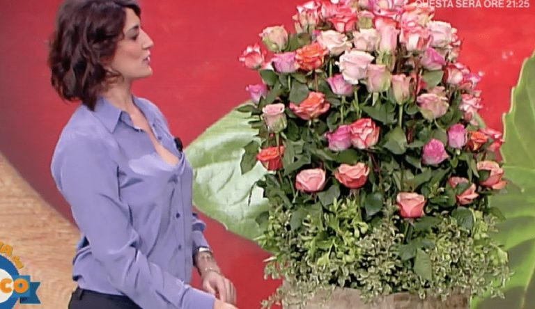 elisa isoardi