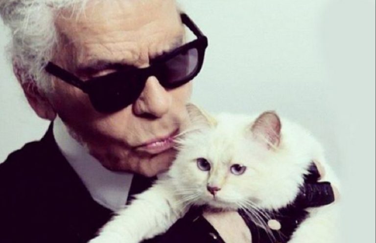 gatta choupette
