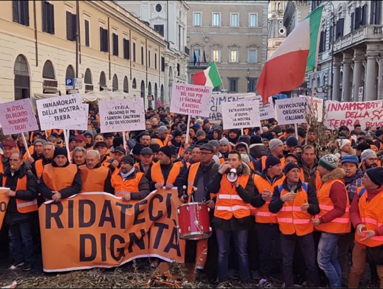 gilet arancioni roma